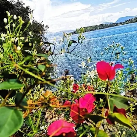 Violeta Lefkada Nydri (Lefkada)