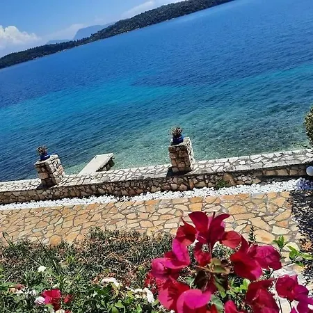 Violeta Lefkada 니드리