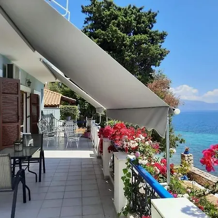 Violeta Lefkada *