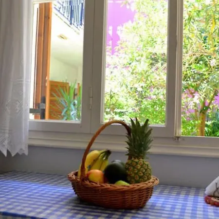 Violeta Lefkada