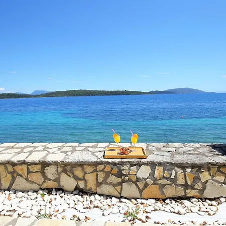 Violeta Lefkada 니드리